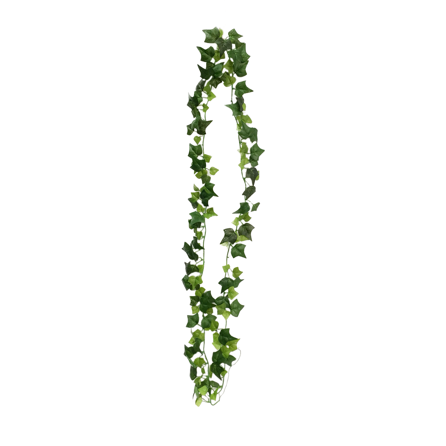G7006YF.png