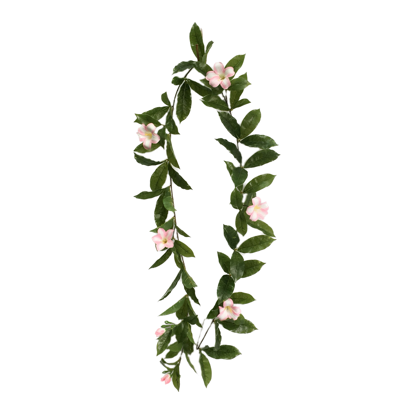 G8001RLX-粉.png