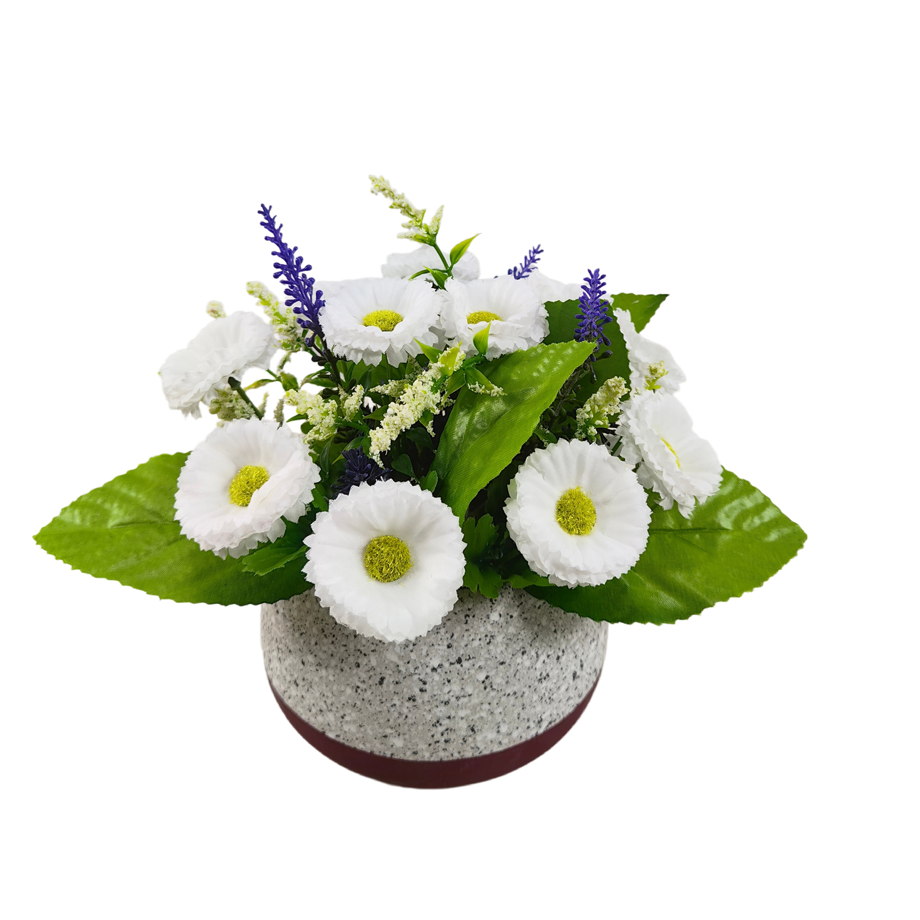 P260539-18.jpg