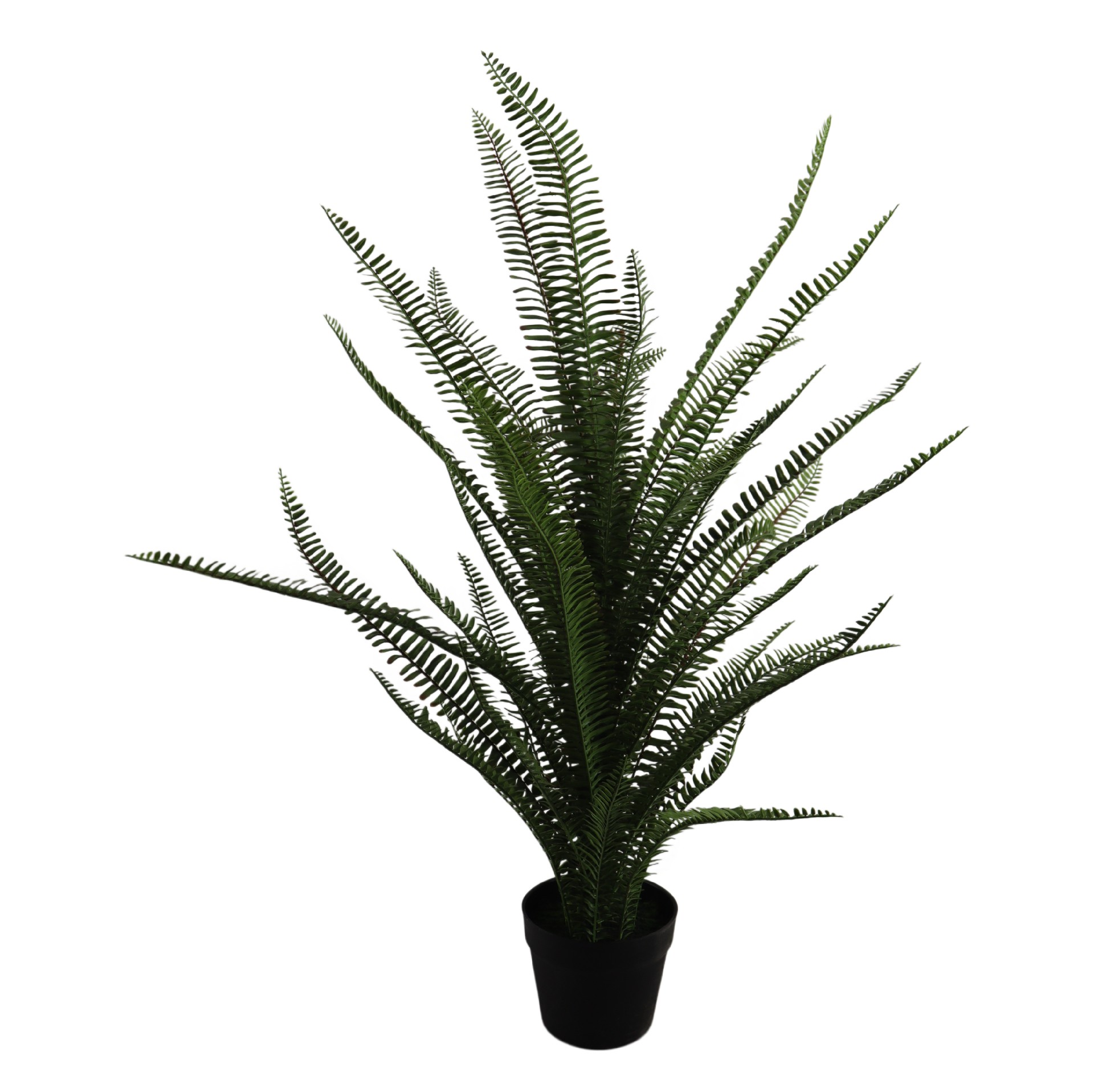 P260587JT-96.JPG